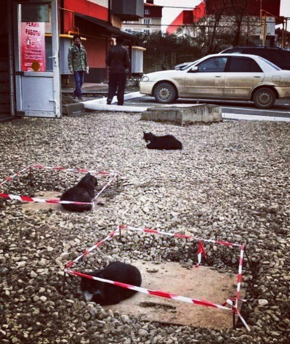 19 реальных фотографий, которые выглядят точно как ошибки видеоигры 19 реальных фотографий, которые выглядят точно как ошибки видеоигры