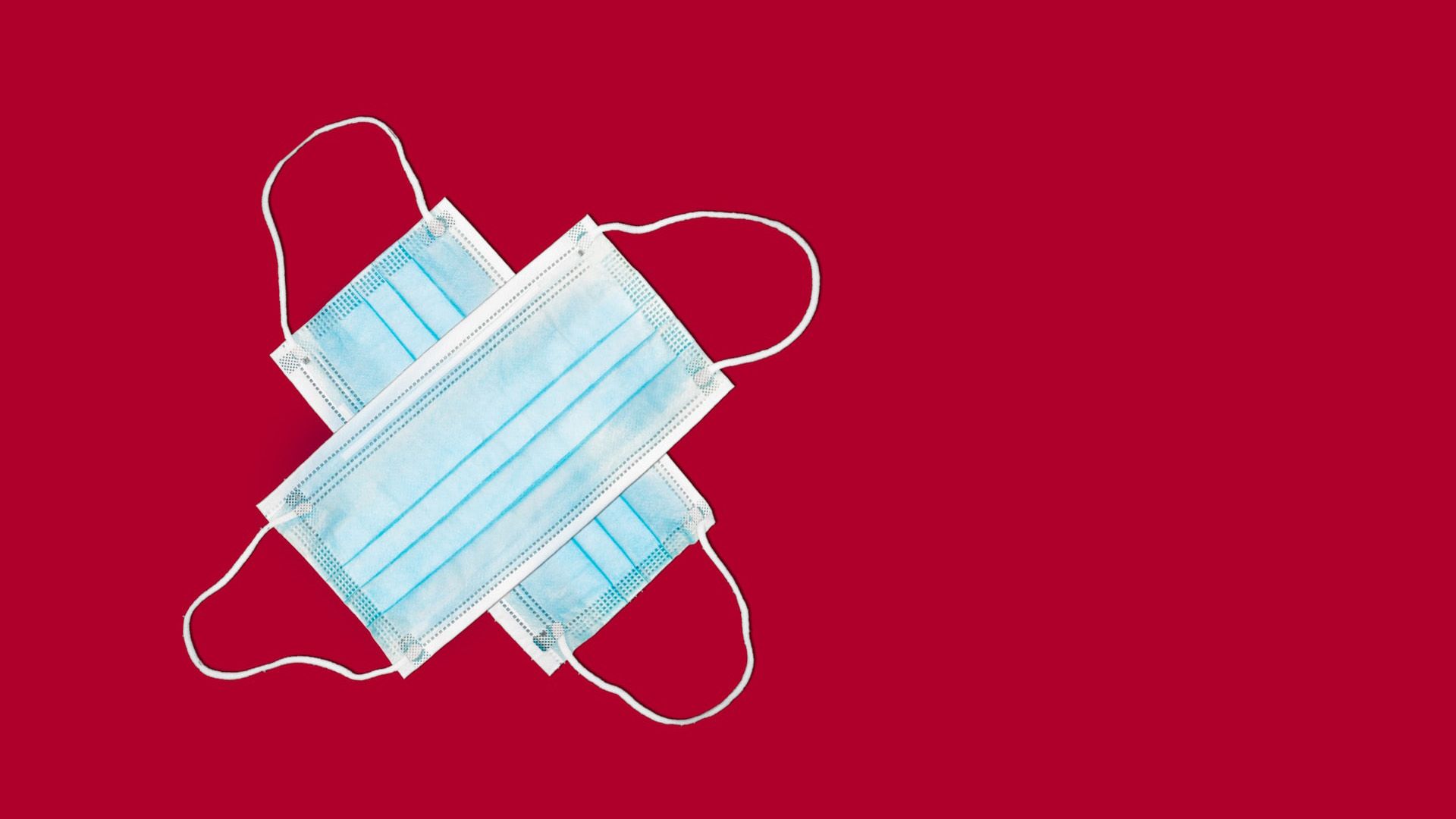 Роспотребнадзор выявил всех контактировавших с заболевшим оспой обезьян петербуржцем