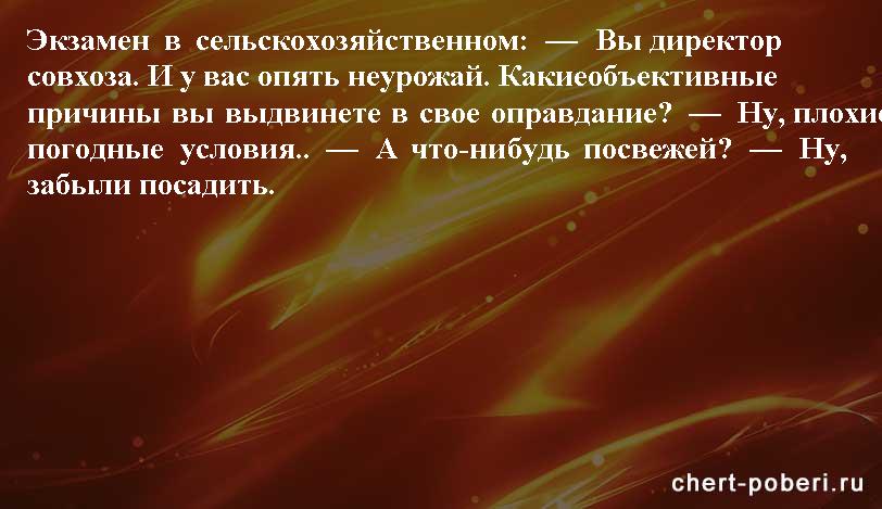 Самые смешные анекдоты ежедневная подборка chert-poberi-anekdoty-chert-poberi-anekdoty-10101230072020-19 картинка chert-poberi-anekdoty-10101230072020-19