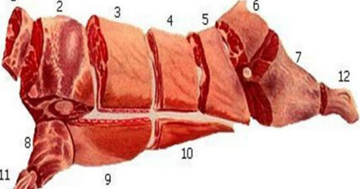 Кулинарное использование частей туши