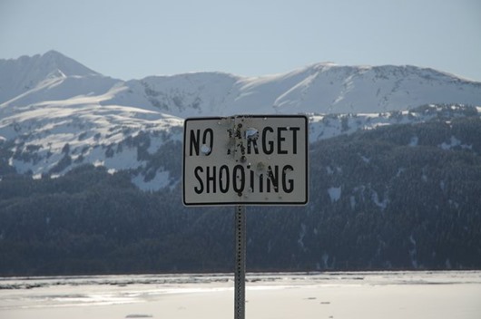 Занимательная Аляска Занимательная Аляска