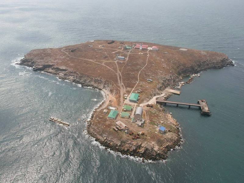 Сражение за остров Змеиный, и москитный флот