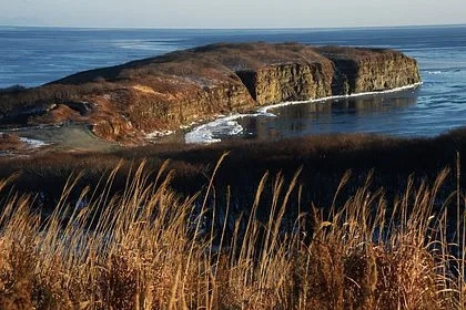 Российская семья нашла останки ихтиозавра