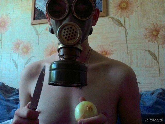 Приколы про лук Приколы про лук