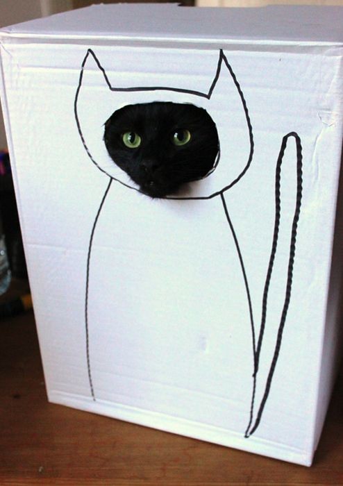 Улыбательные картинки картинки, прикол., фото