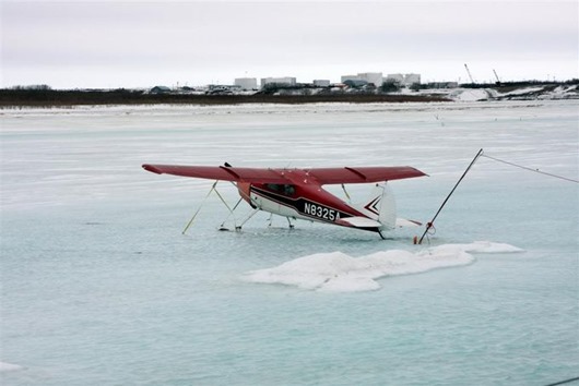 Занимательная Аляска Занимательная Аляска