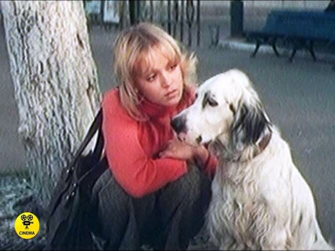 Как собака-актёр повторила судьбу своего киногероя Бима из картины Станислава Ростоцкого «Белый Бим Чёрное ухо»
