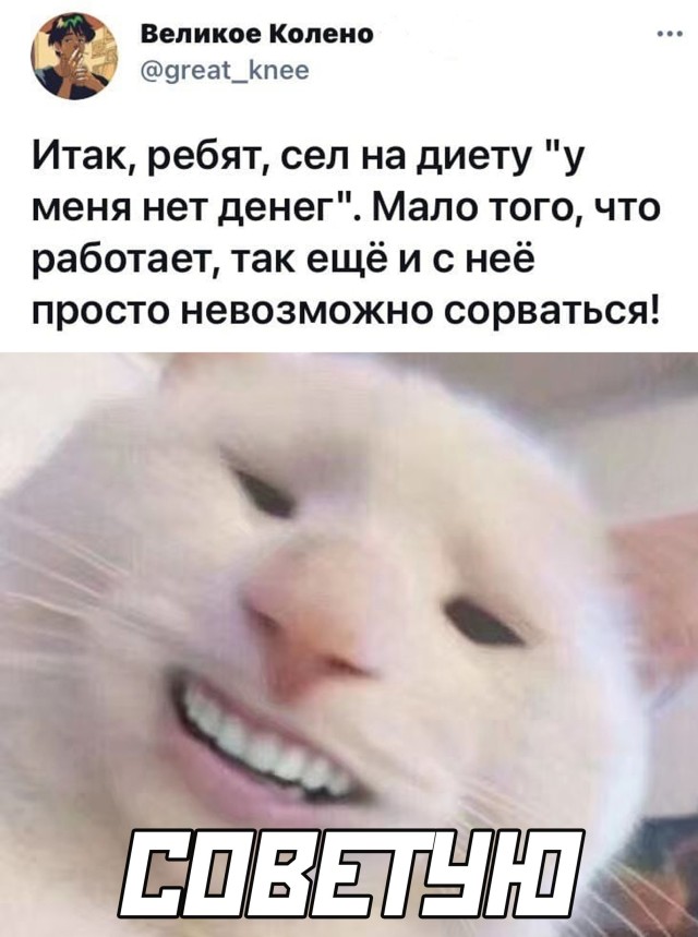 Подборка прикольных картинок Подборка прикольных картинок приколы,смешные картинки,юмор