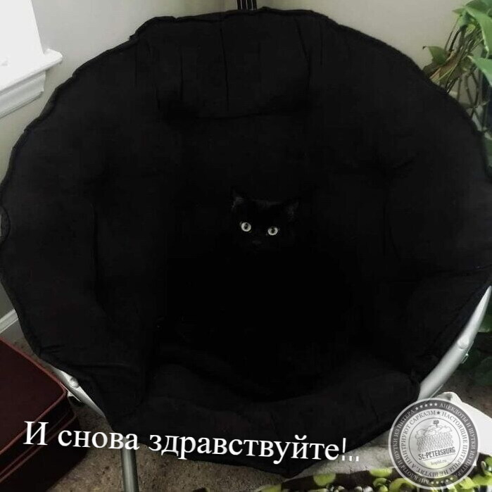 И снова здравствуйте