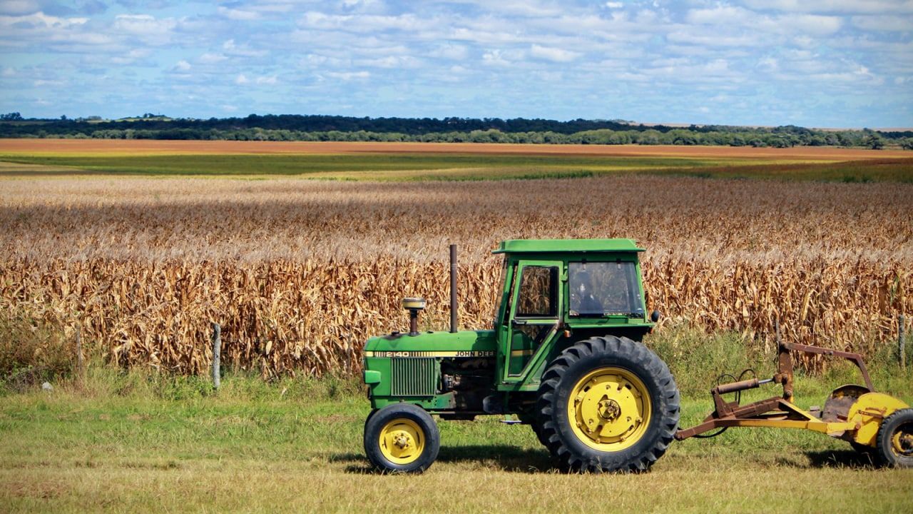 Власти России сообщили о планах экспортировать 37 млн тонн зерна в 2022 году Экономика