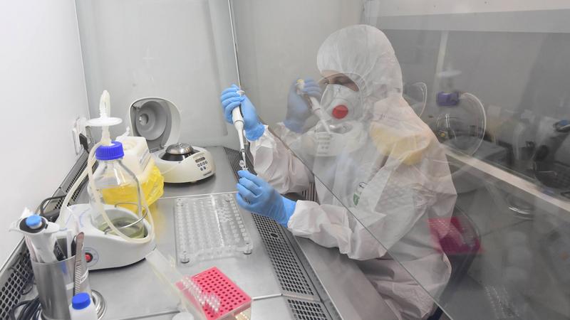 Роспотребнадзор сократил срок предоставления результатов тестов на коронавирус