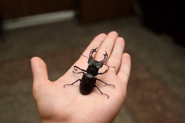 Новая подборка прикольных картинок Новая подборка прикольных картинок приколы,смешные картинки,юмор