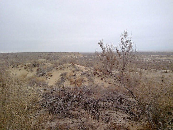 Закрытый город-призрак Аральск-7 — место, где испытывали советское биологическое оружие Закрытый город-призрак Аральск-7 — место, где испытывали советское биологическое оружие