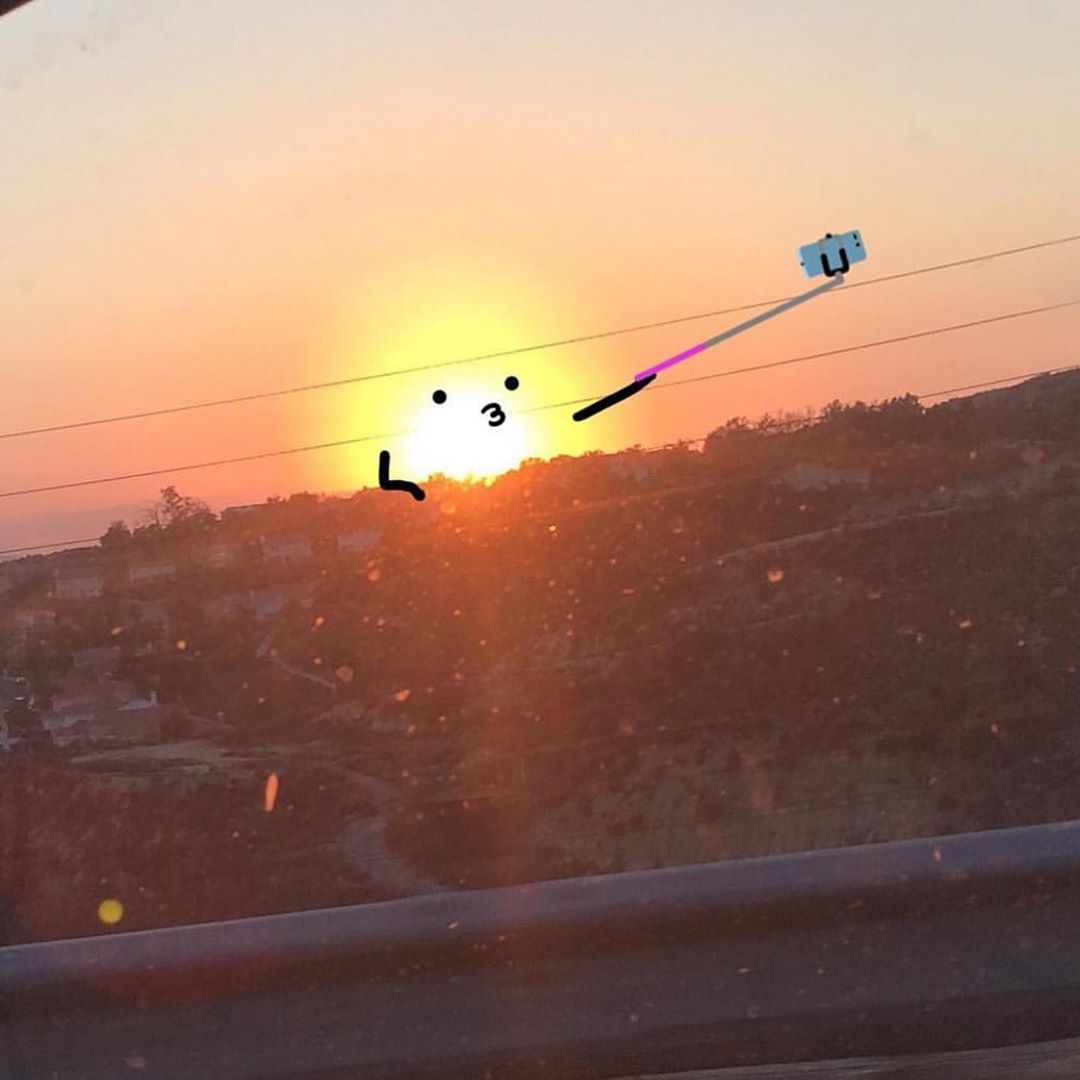 Забавный мир Шона Чармац 