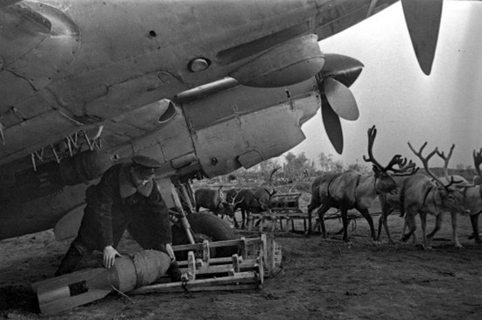 Подборка редких фотографий со всего мира. Часть 40 (40 фото)