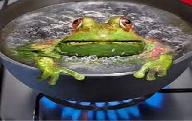 Евро-лягушатник будем варить медленно