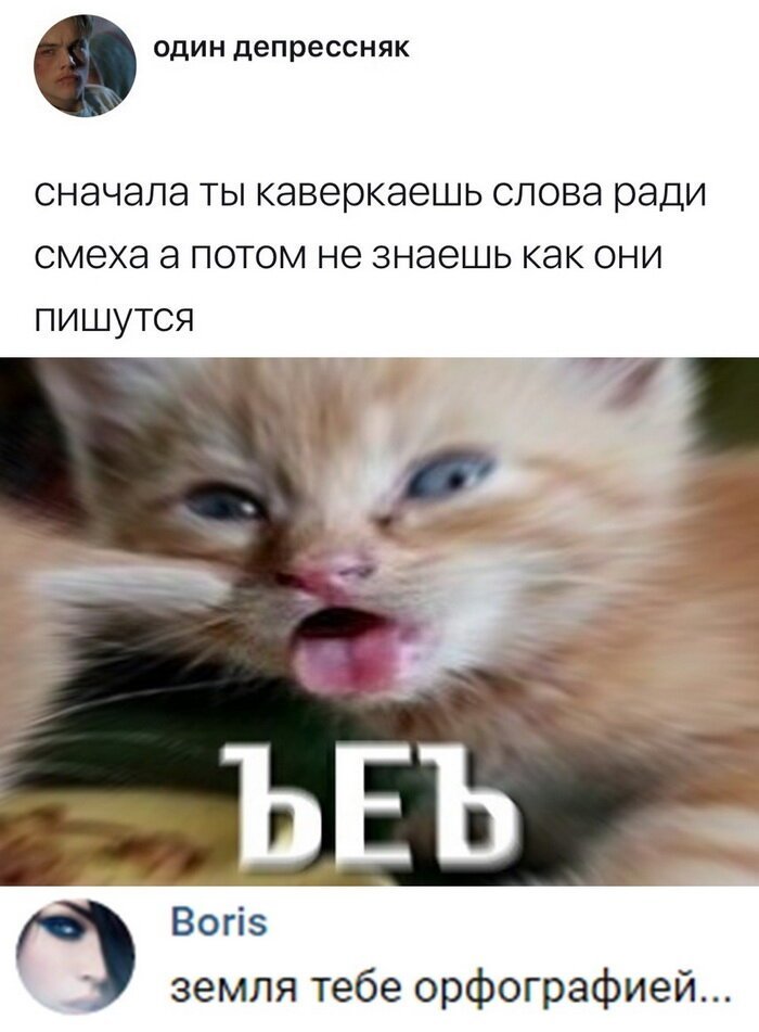 Ради текс. Мемы с текстом. Мемы со словами. Мем с текстом. Мемы с ошибками в словах.