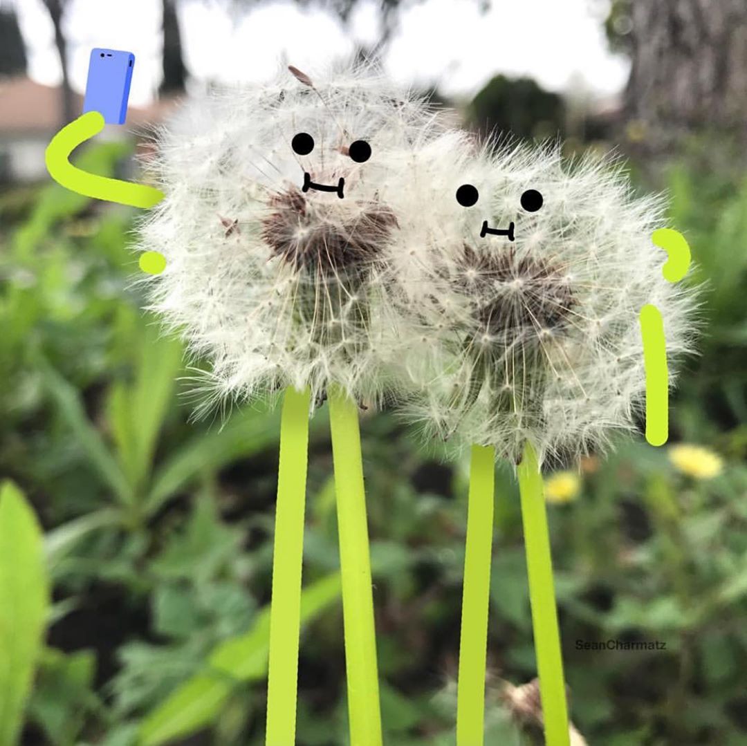 Забавный мир Шона Чармац 