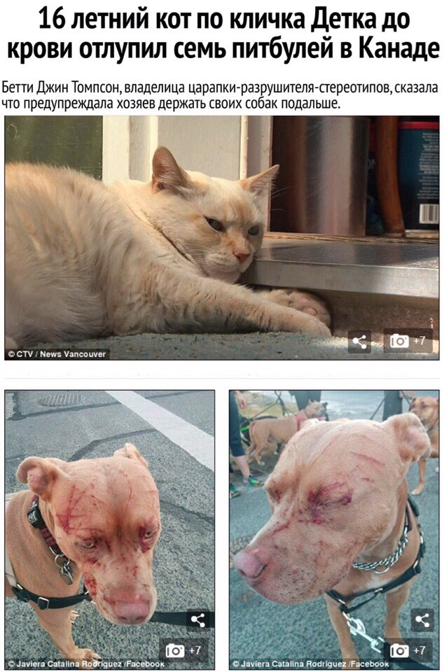 Кто-нибудь виделся с людьми после фразы "нужно обязательно встретиться"? анекдоты