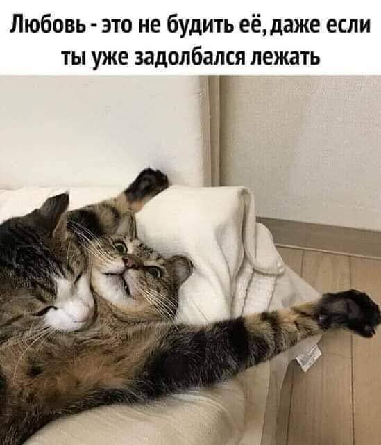 Свежая подборка забавных шуточек Свежая подборка забавных шуточек