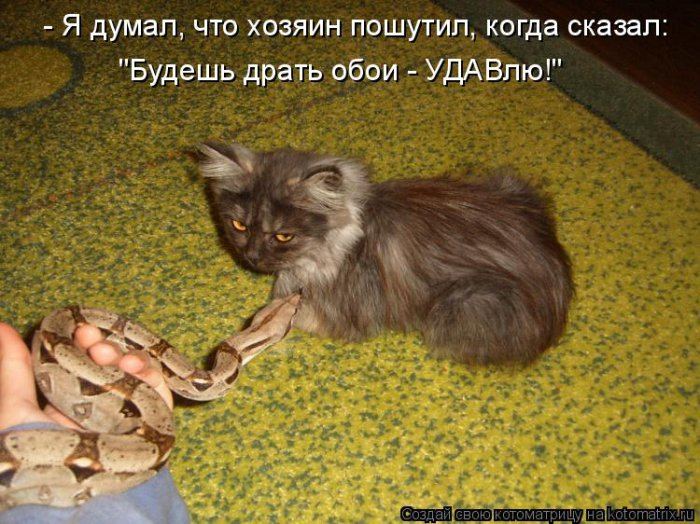 Мысли вслух :)