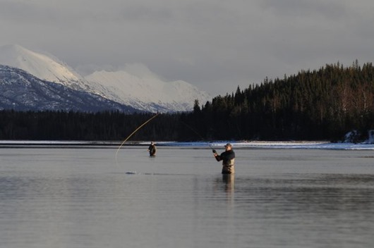 Занимательная Аляска Занимательная Аляска