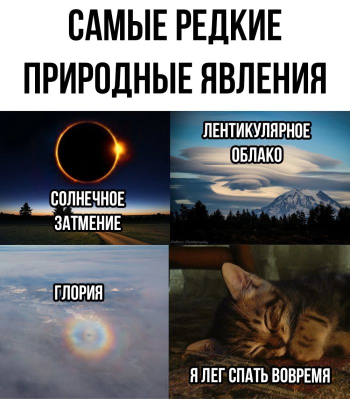 Юмор для тех, кто уже повзрослел и понял, что выходные — это миф Юмор для тех, кто уже повзрослел и понял, что выходные — это миф