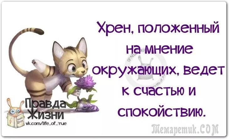 Мнение открытка, открытка