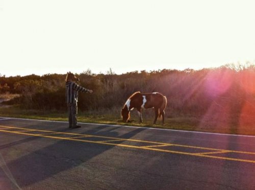 Фотографии, доказывающие, что первые 40 лет в жизни мужчины — самые сложные! (37 шт)