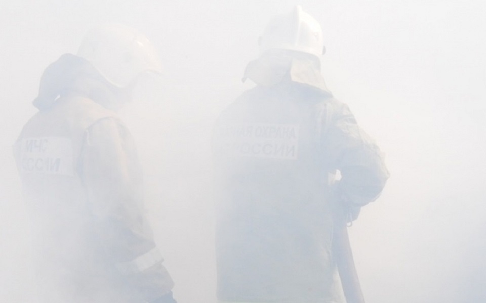 МЧС: в Рязанской области за неделю потушили 190 пожаров
