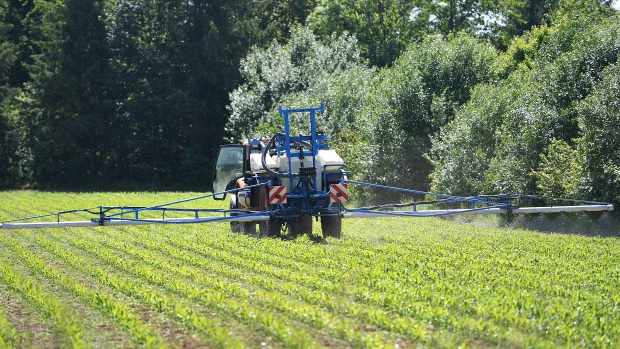 Опасный гербицид обнаружен в организме каждого третьего американца