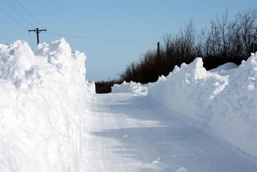 Занимательная Аляска Занимательная Аляска