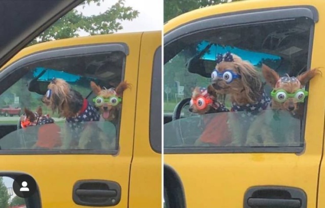 Позитивные и забавные картинки с фото приколами из сети классные фото приколы,Смешные картинки и фото приколы,смешные картинки ржака