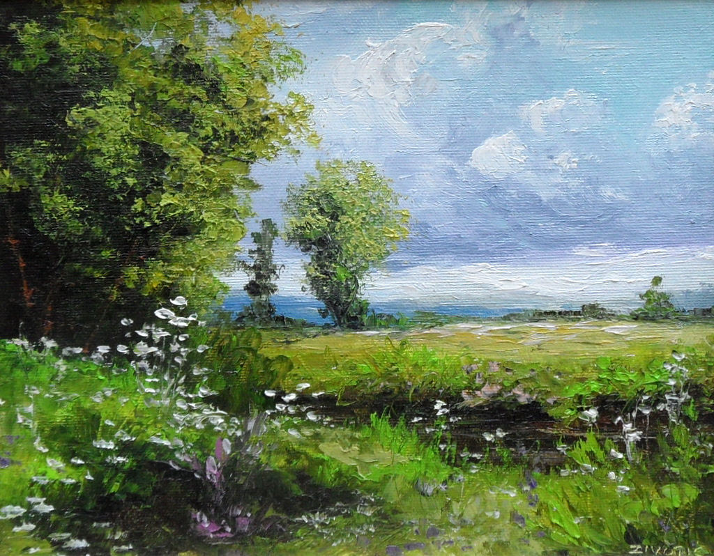 Zivotic Зоран, луг, холст, масло, 20х30см