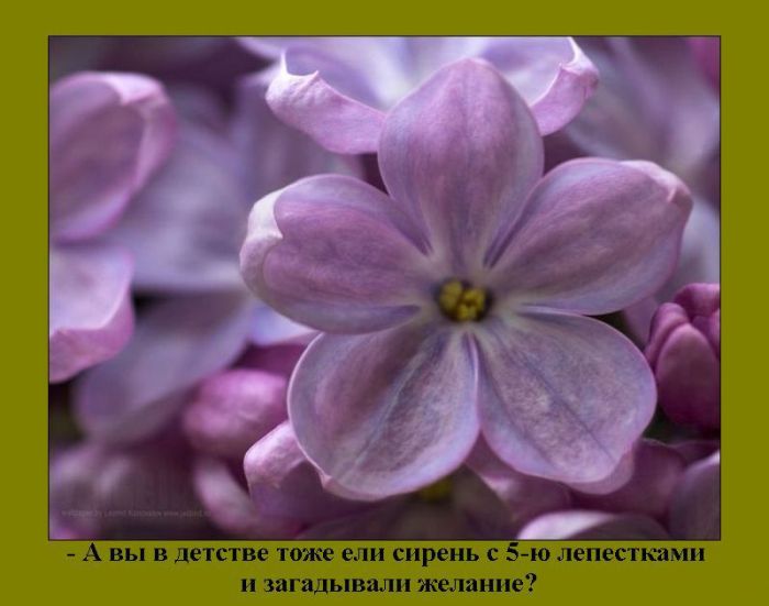 Воспоминания из детства Воспоминания из детства