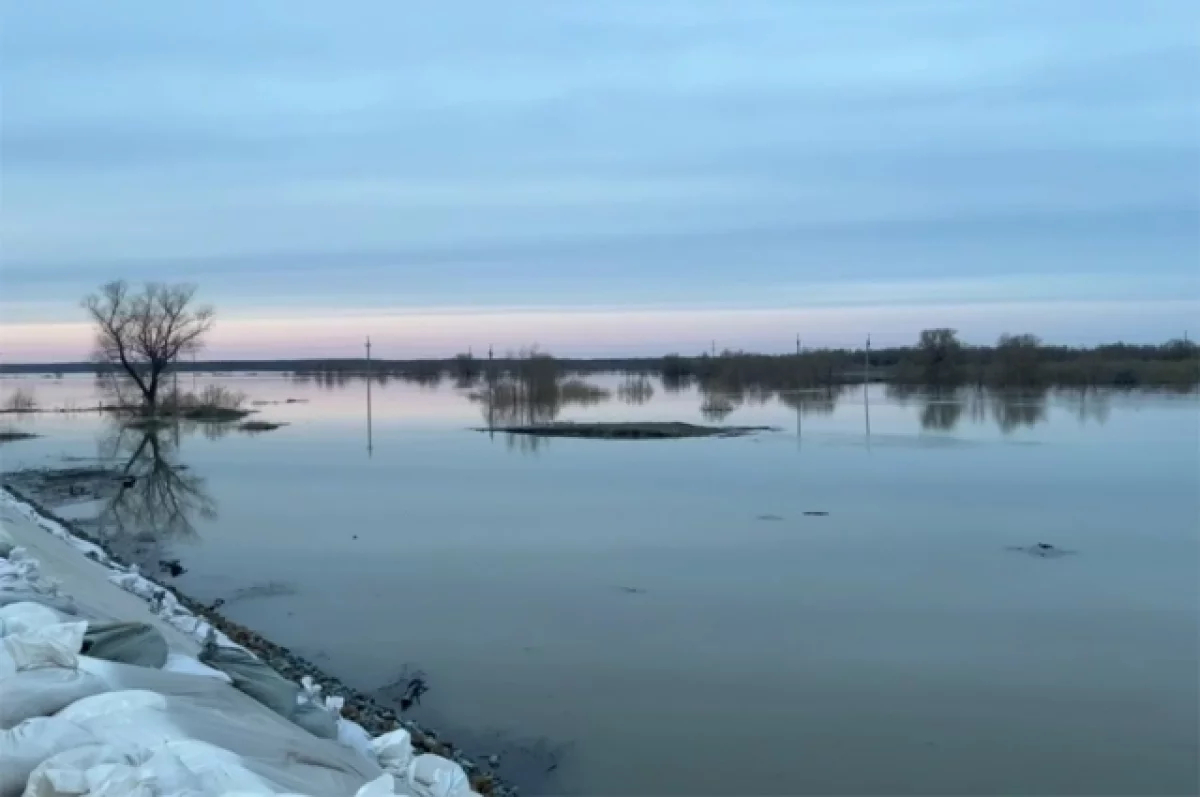 Уровень воды в Тоболе у Ялуторовска поднялся на 20 сантиметров за сутки