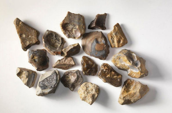 Археологи рассказали о доисторических «швейцарских» ножах новости