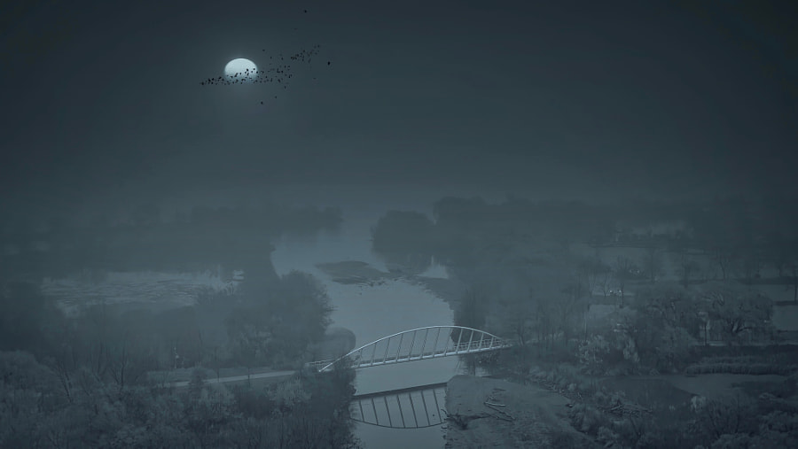 “ … in the (foggy) night. “  by B N on 500px.com