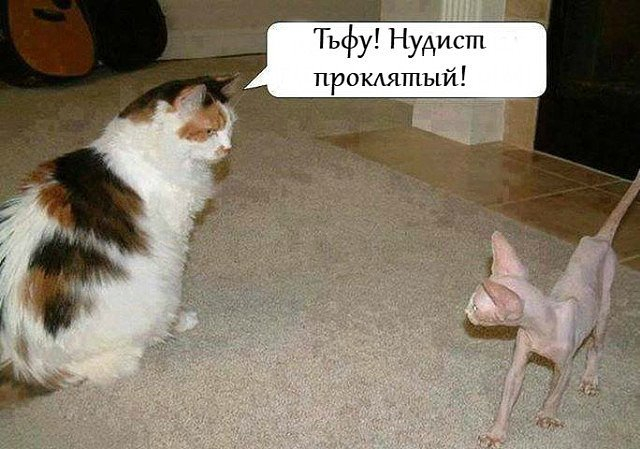 Посмотрел рекламу и очень захотел себе трусики памперс - чтобы любить, играть и крепко спать Посмотрел рекламу и очень захотел себе трусики памперс - чтобы любить, играть и крепко спать анекдоты,демотиваторы,приколы,юмор