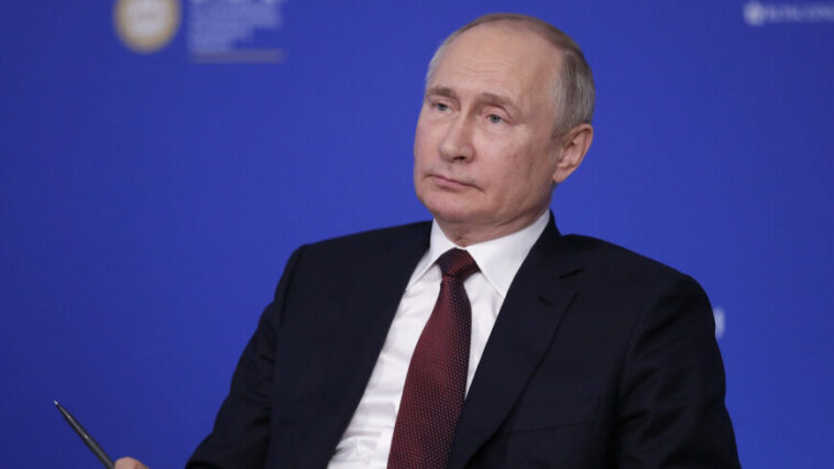 Путин назвал идею перехода от российского газа к углю не лучшим решением