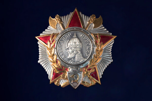 Разбор медалей и орденов заместителя Шойгу, Генерала Татьяны Шевцовой армия