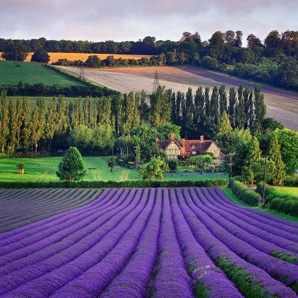 Прикольные фото и зачетные картинки из сети красивые фотографии,прикольные картинки,шикарные фотографии