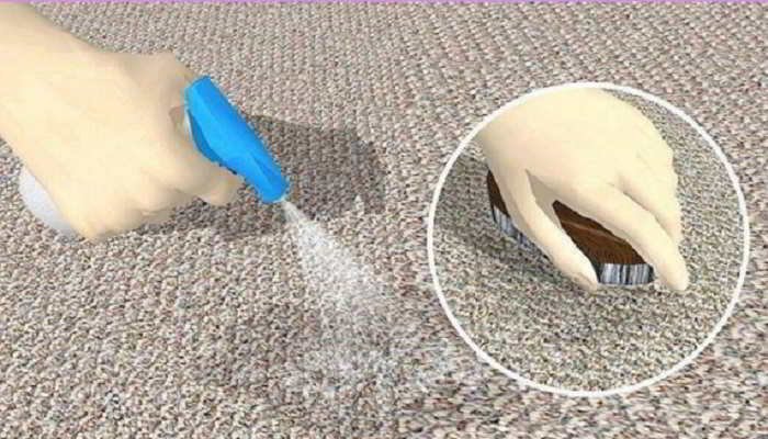 Эффективные способы избавится от запаха кошачьей мочи на ковре домашние животные,полезные советы