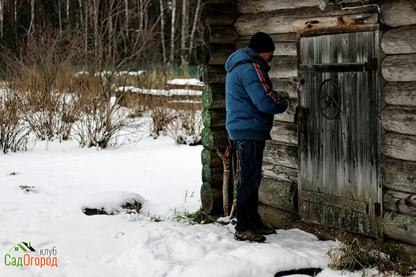: depositphotos.com