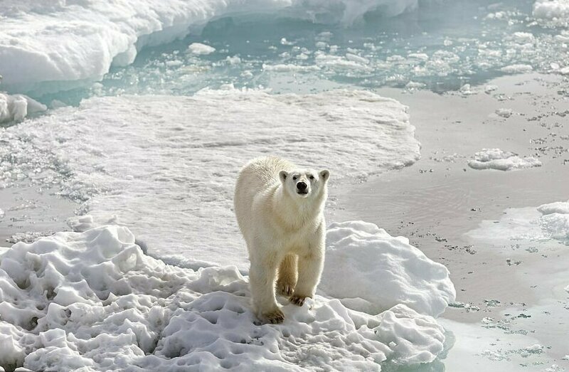 От Африки до арктической тундры России: финалисты фотоконкурса National Geographic Traveller 2019 От Африки до арктической тундры России: финалисты фотоконкурса National Geographic Traveller 2019