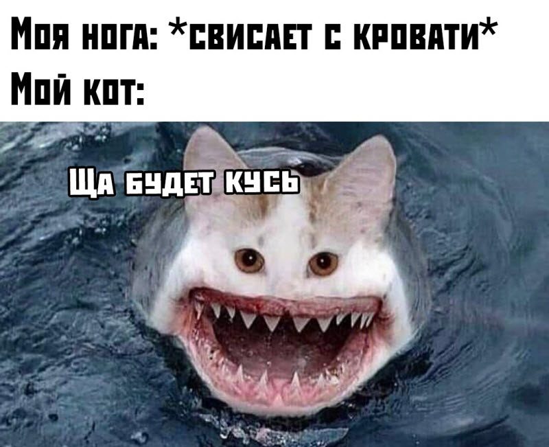 Заказчик на объекте принимает работу у подрядчика.. анекдоты,веселье,демотиваторы,приколы,смех,юмор