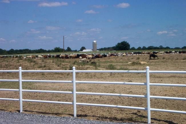 Отличная альтернатива обычному забору Отличная альтернатива обычному забору забор из пвх труб,своими руками,сделай сам