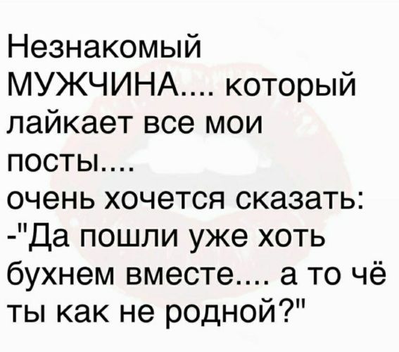 Когда старая дева выходит замуж, она тут же превращается в молодую жену года , Мадам, воровства, карму, признательна, благодарна, очень, нравится, замечательная, знакомо, божественный, такой, рептилоид, плакал, простота, любите, Когда, собак, Идиоты, наверное