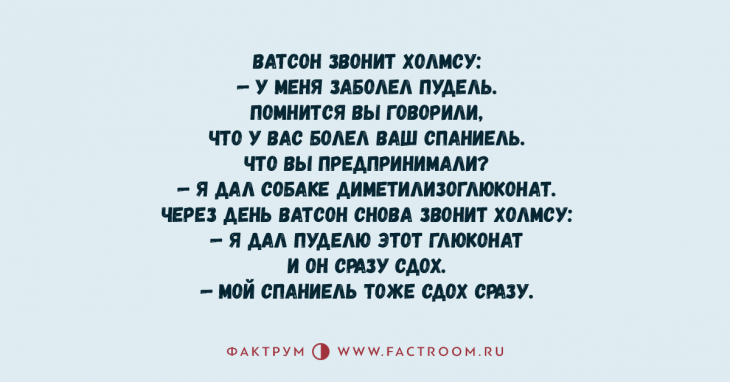 Подборка анекдотов, чтением которой надо заняться прямо сейчас 