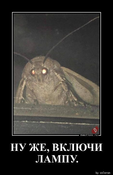 Демотиваторы на любой вкус: «А кому-то для полного счастья…» 